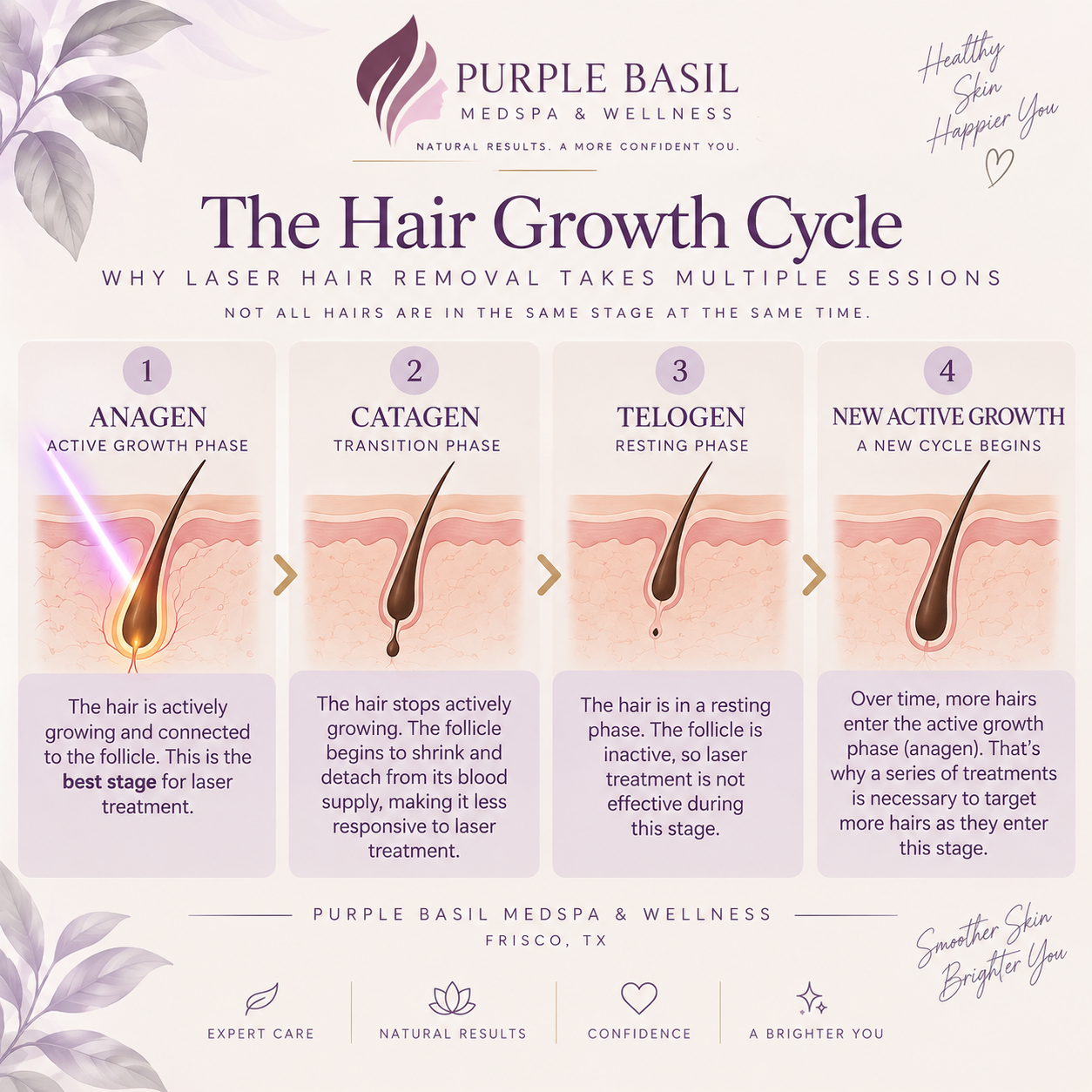 Stages of Hair Growth Cycle